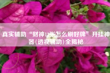 真实辅助“财神13张怎么刷好牌”开挂神器{透视辅助}全揭秘