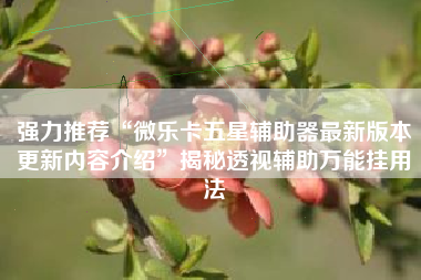 强力推荐“微乐卡五星辅助器最新版本更新内容介绍”揭秘透视辅助万能挂用法