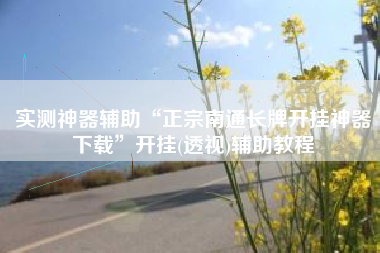 实测神器辅助“正宗南通长牌开挂神器下载”开挂(透视)辅助教程