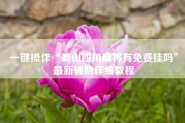 一键操作“蜀山四川麻将有免费挂吗	”最新辅助详细教程