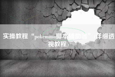 实操教程“pokemmo脚本辅助器	”(详细透视教程)
