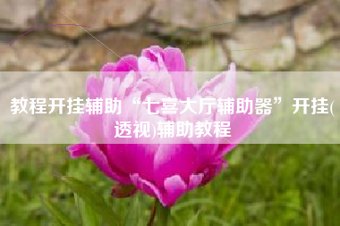 教程开挂辅助“七喜大厅辅助器	”开挂(透视)辅助教程