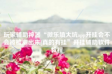 玩家辅助神器“微乐填大坑app开挂会不会被检测出来[真的有挂”开挂辅助软件教程