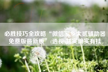 必胜技巧全攻略“微信家乡大贰辅助器免费版最新版	”(透视)其实确实有挂