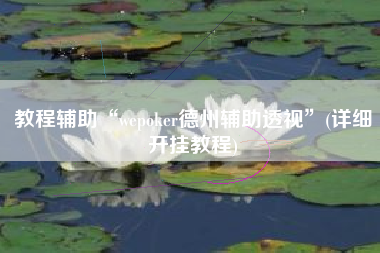 教程辅助“wepoker德州辅助透视	”(详细开挂教程)
