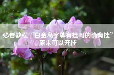 必看教程“白金岛字牌有挂吗的确有挂”原来可以开挂