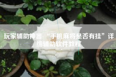 玩家辅助神器:“手机麻将是否有挂”详细辅助软件教程