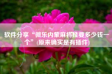 软件分享“微乐内蒙麻将挂要多少钱一个”(原来确实是有插件)