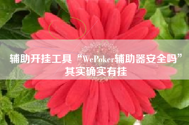 辅助开挂工具“WePoker辅助器安全吗”其实确实有挂