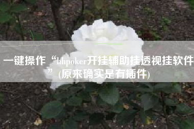一键操作“hhpoker开挂辅助挂透视挂软件	”(原来确实是有插件)