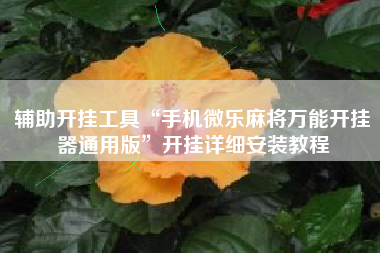 辅助开挂工具“手机微乐麻将万能开挂器通用版	”开挂详细安装教程