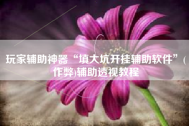 玩家辅助神器“填大坑开挂辅助软件	”(作弊)辅助透视教程