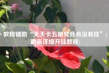 教程辅助“天天卡五星究竟有没有挂”(助赢详细开挂教程)