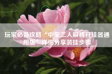 玩家必备攻略“中至二人麻将开挂器通用版”详细分享装挂步骤