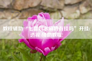 教程辅助“七喜划水麻将有挂吗”开挂(透视)辅助教程!