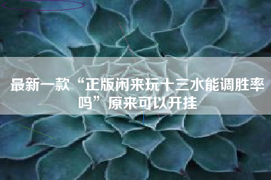 最新一款“正版闲来玩十三水能调胜率吗	”原来可以开挂