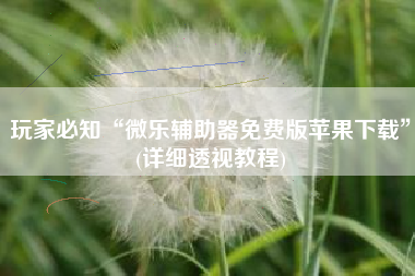 玩家必知“微乐辅助器免费版苹果下载”(详细透视教程)