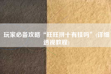 玩家必备攻略“旺旺拼十有挂吗	”(详细透视教程)