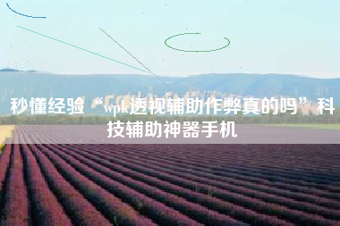 秒懂经验“wpk透视辅助作弊真的吗”科技辅助神器手机