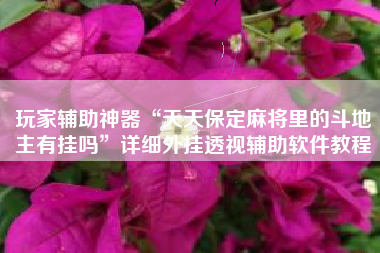 玩家辅助神器“天天保定麻将里的斗地主有挂吗”详细外挂透视辅助软件教程