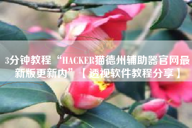 3分钟教程“HACKER猫德州辅助器官网最新版更新内	”【透视软件教程分享】