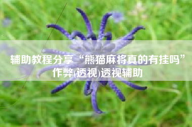 辅助教程分享“熊猫麻将真的有挂吗”作弊(透视)透视辅助