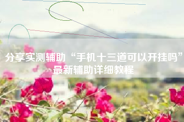 分享实测辅助“手机十三道可以开挂吗	”最新辅助详细教程