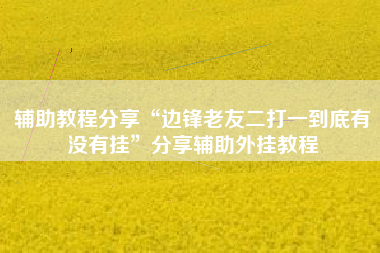 辅助教程分享“边锋老友二打一到底有没有挂	”分享辅助外挂教程