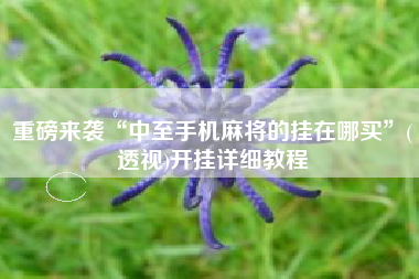 重磅来袭“中至手机麻将的挂在哪买	”(透视)开挂详细教程