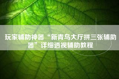 玩家辅助神器“新青鸟大厅拼三张辅助器”详细透视辅助教程