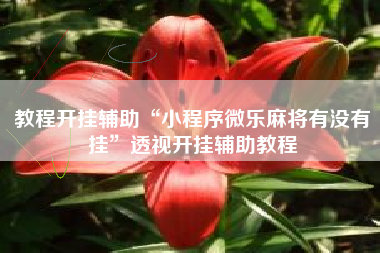 教程开挂辅助“小程序微乐麻将有没有挂	”透视开挂辅助教程