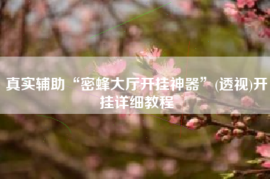 真实辅助“密蜂大厅开挂神器”(透视)开挂详细教程