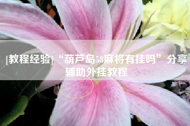 [教程经验]“葫芦岛58麻将有挂吗”分享辅助外挂教程