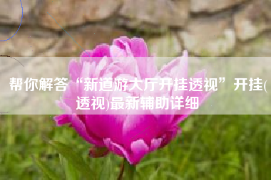 帮你解答“新道游大厅开挂透视”开挂(透视)最新辅助详细