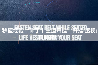 秒懂经验“佛手十三道开挂”开挂(透视)辅助教程!