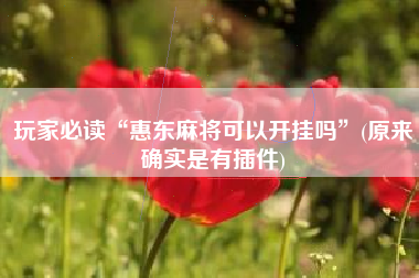 玩家必读“惠东麻将可以开挂吗”(原来确实是有插件)