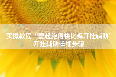 实操教程“壹起跑得快比鸡开挂辅助	”开挂辅助详细步骤