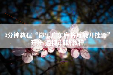 3分钟教程“微乐广东麻将万能开挂器”开挂(透视)辅助教程