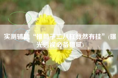 实测辅助“推筒子二八杠竟然有挂	”(曝光透视必备猫腻)