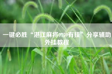 一键必胜“湛江麻将0759有挂”分享辅助外挂教程