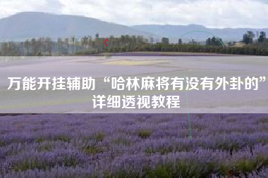 万能开挂辅助“哈林麻将有没有外卦的”详细透视教程