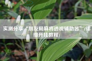 实测分享“朋友局麻将透视辅助器”(详细开挂教程)