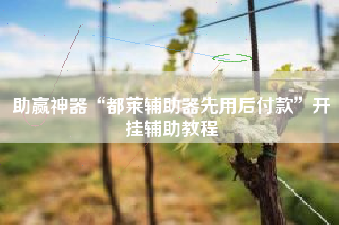 助赢神器“都莱辅助器先用后付款”开挂辅助教程