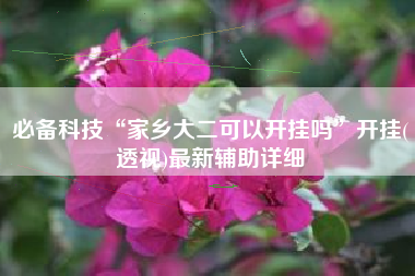 必备科技“家乡大二可以开挂吗	”开挂(透视)最新辅助详细