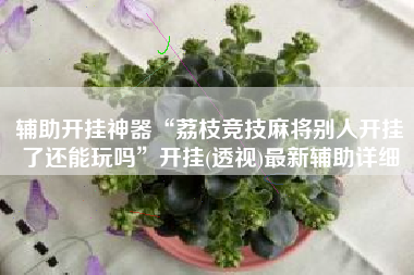辅助开挂神器“荔枝竞技麻将别人开挂了还能玩吗	”开挂(透视)最新辅助详细