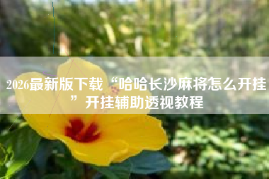 2026最新版下载“哈哈长沙麻将怎么开挂	”开挂辅助透视教程