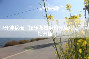 3分钟教程“挖乐龙岩麻将开挂方法”详细开挂
