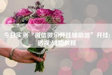 今日实测“微信微乐开挂辅助器”开挂(透视)辅助教程