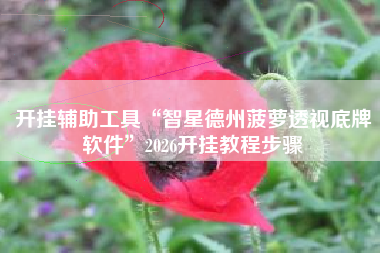 开挂辅助工具“智星德州菠萝透视底牌软件	”2026开挂教程步骤