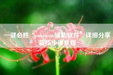 一键必胜“pokemon辅助软件”详细分享装挂步骤教程